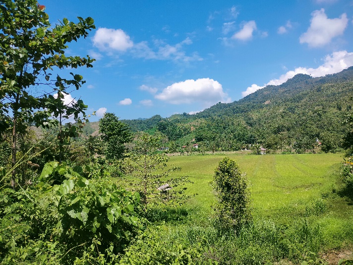 Salah satu view objek wisata pendidikan Desa Bone