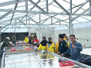 persiapan demplot green house pembibitan oleh Universitas Cokroaminoto Palopo (UNCP) didukung PT. Masmindo Dwi Area. Dok: MDA