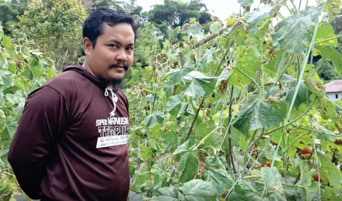 Sudi Adiriyanto saat berada di kebun sayur dan buah kelompok tani Sipakatuo Rante Balla. Dok: Maupa.id