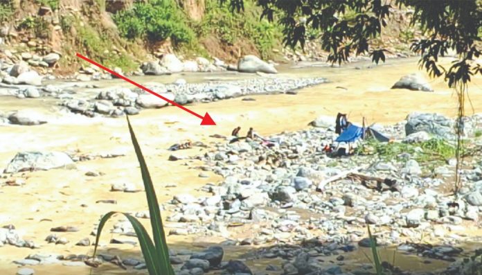 Penampakan aktifitas PETI dekat pertemuan Sungai Suso dan Sungai Songgang di Desa Kadundung. Gambar diambil 18 Februari 2025. Dok: Maupa.id