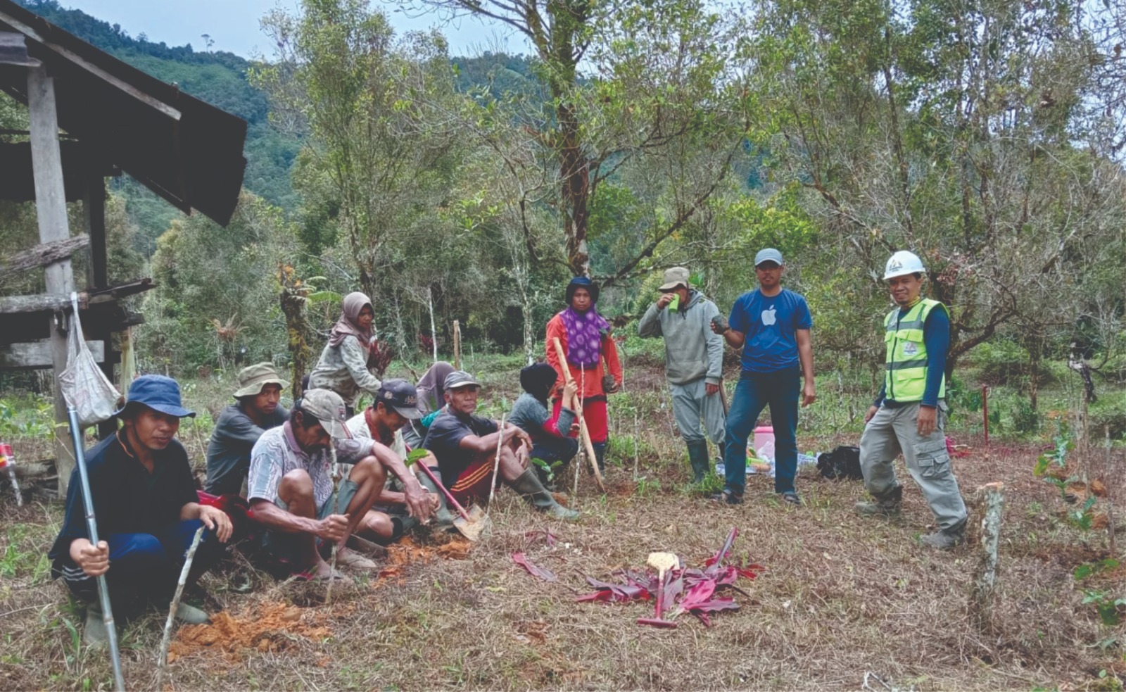 Kepala Desa dan Masyarakat Desa Tolajuk, Kecamatan Latimojong melakukan penanaman kopi arabika komasti, dukungan MDA, pada Sabtu (24/5/2025) di Desa Tolajuk. Dok: Agribusiness Officer CDA MDA